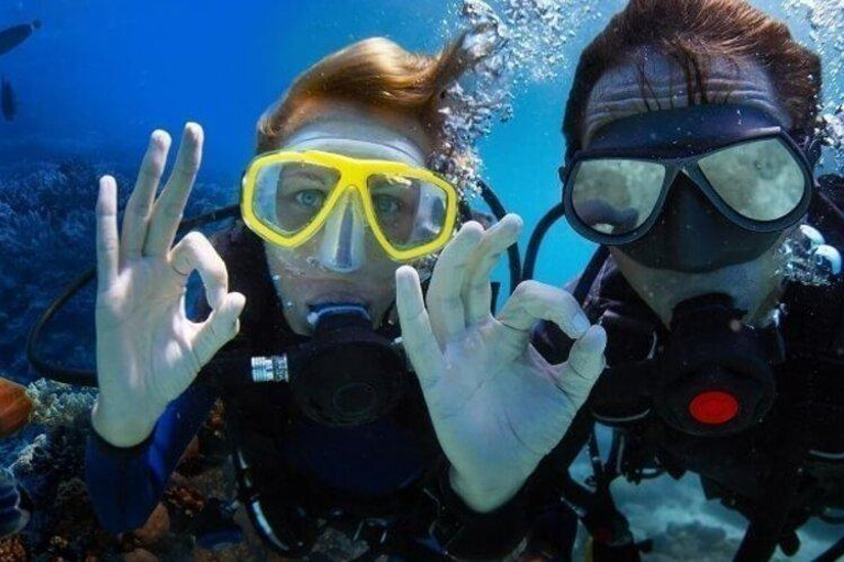 Excursão de mergulho ou snorkeling na Ilha Cham a partir de Da Nang/Hoi AnTour particular e opção de mergulho