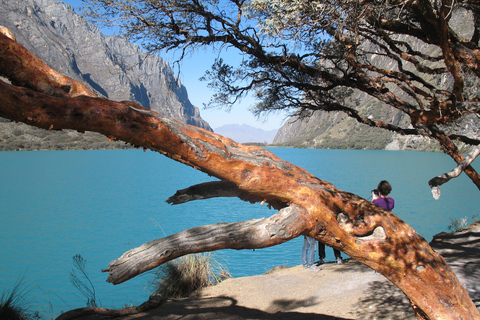 Z Huaraz: Całodniowa wycieczka do jezior Llanganuco