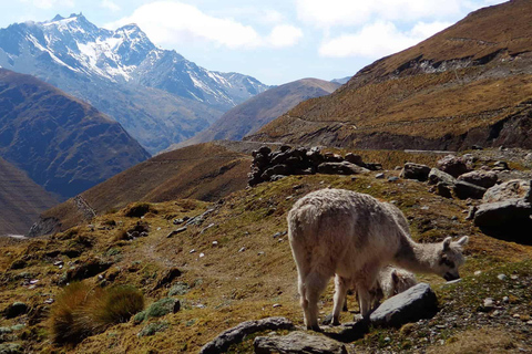 Machu Picchu 2 Days / 1 Night (By Bus)