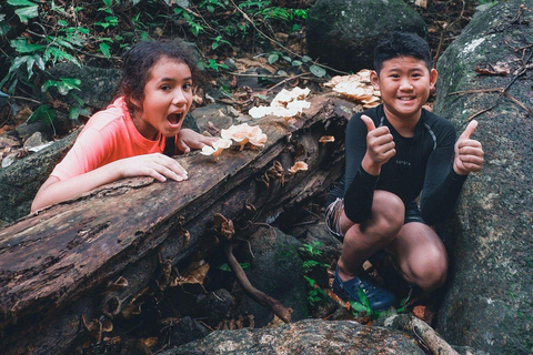 Kuala Lumpur: Waterfall Hike and Wildlife Spotting