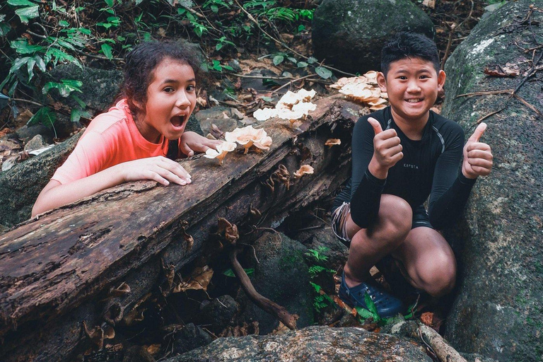 Kuala Lumpur: Waterfall Hike and Wildlife Spotting