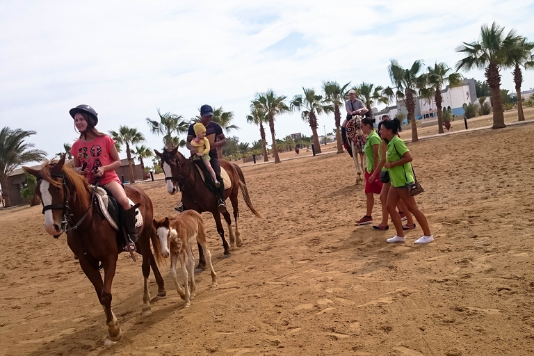 El Gouna : Randonnée à cheval dans le désert et la mer avec baignade en option1 heure de quad + 1 heure d&#039;équitation — Combo double aventure