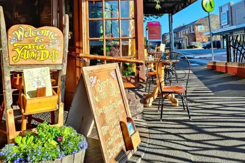 Blue Mountains Tour, Katoomba Falls & Cockatoos Small Group Blue Mountains ：Small Group + Cockatoos & Katoomba Falls&Ja