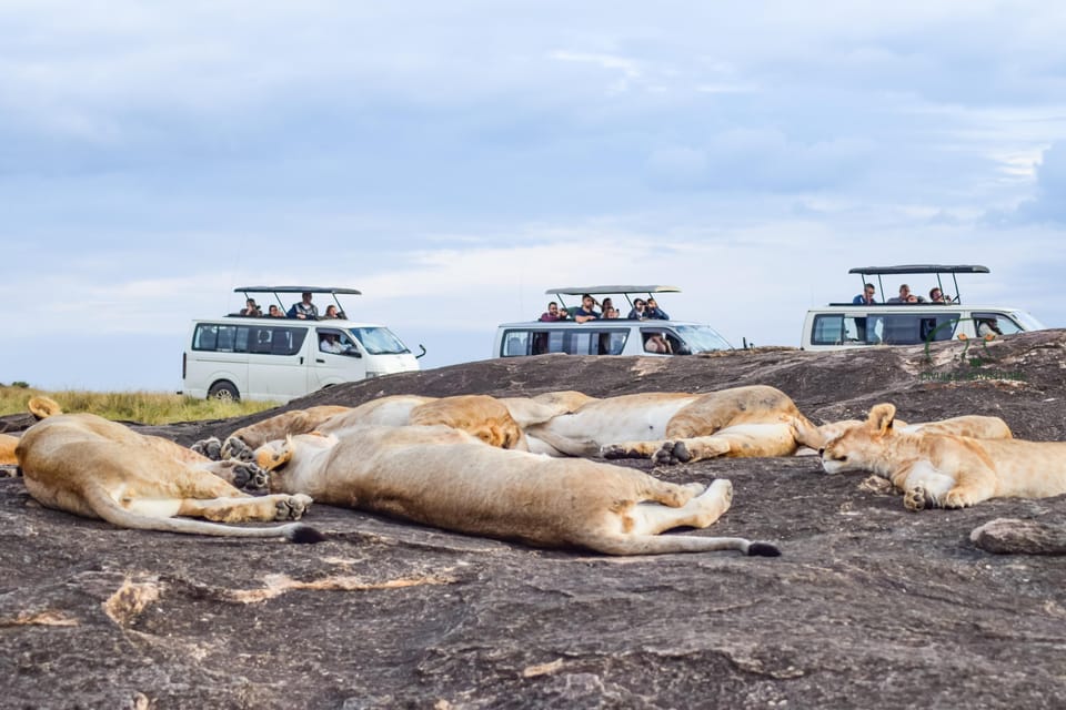 Tage Safari Abenteuer Tsavo Ost West Nationalparks Getyourguide