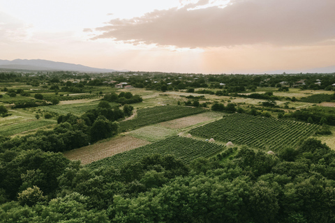 Tbilisi: Kakheti Wine, Harvest & Local Life Tour