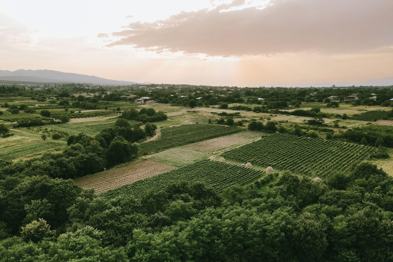 Tbilisi: Kakheti Wine, Harvest & Local Life Tour