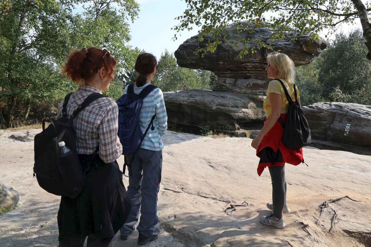 Depuis Prague : Essentiel de la Suisse Bohémienne et Saxonne