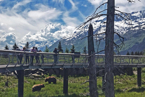 Anchorage: Mount Alyeska Tram & Wildlife Center Tour