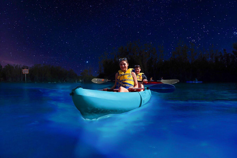 Cocoa Beach/Merritt Island:Bioluminescent kayak tour Single Kayak