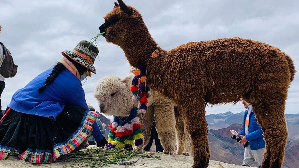 Vanuit Cusco Avontuur Naar De Regenboogberg ATV GetYourGuide