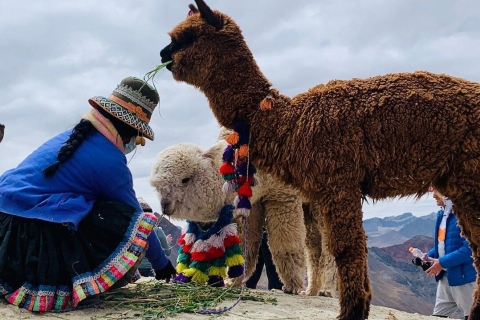 Depuis Cusco : Aventure en VTT à la montagne Arc-en-ciel