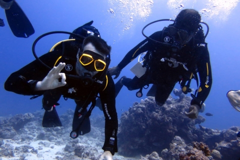 Blue Bay: Discover Scuba Diving