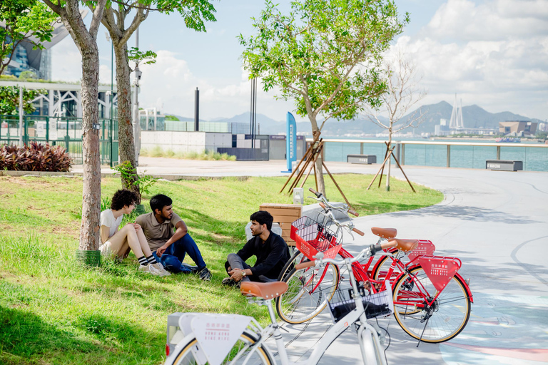 Victoria Harbour Shoreline Bike + Street Food Half-day Tour
