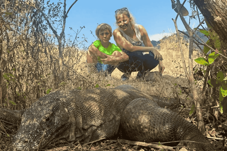 From Gili Trawangan: Whale Shark & Komodo 4-Day Adventure