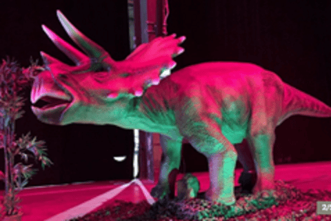 egapark Erfurt: Dino Lights egapark Erfurt: DINO LIGHTS