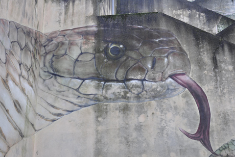 Segredos da Guarda: Arte de Rua e Histórias Ocultas - Visita Gratuita