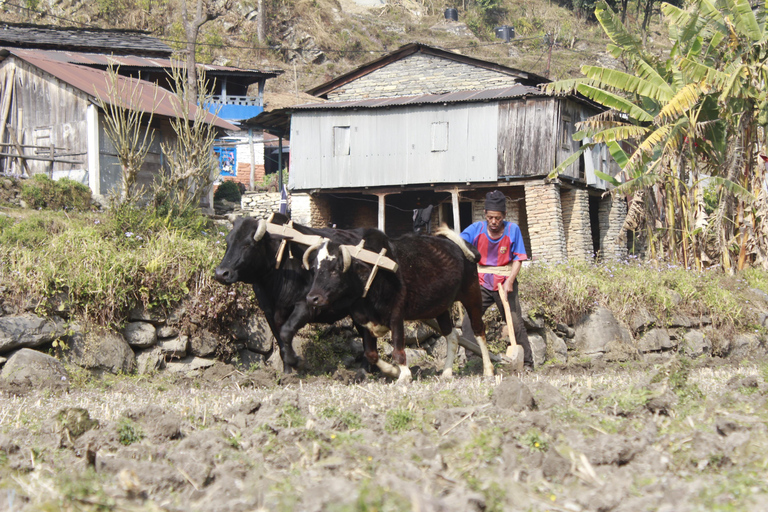 10 Days Poon hill and Annapurna base camp trek from Pokhara 10 Days Poon hill ana Annapurna base camp trek from Pokhara