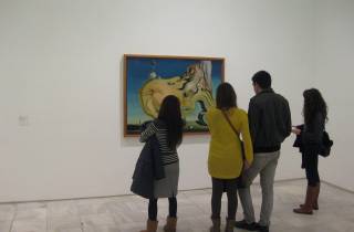 Reina Sofía Museum: Privater Besuch mit Kunstexperte