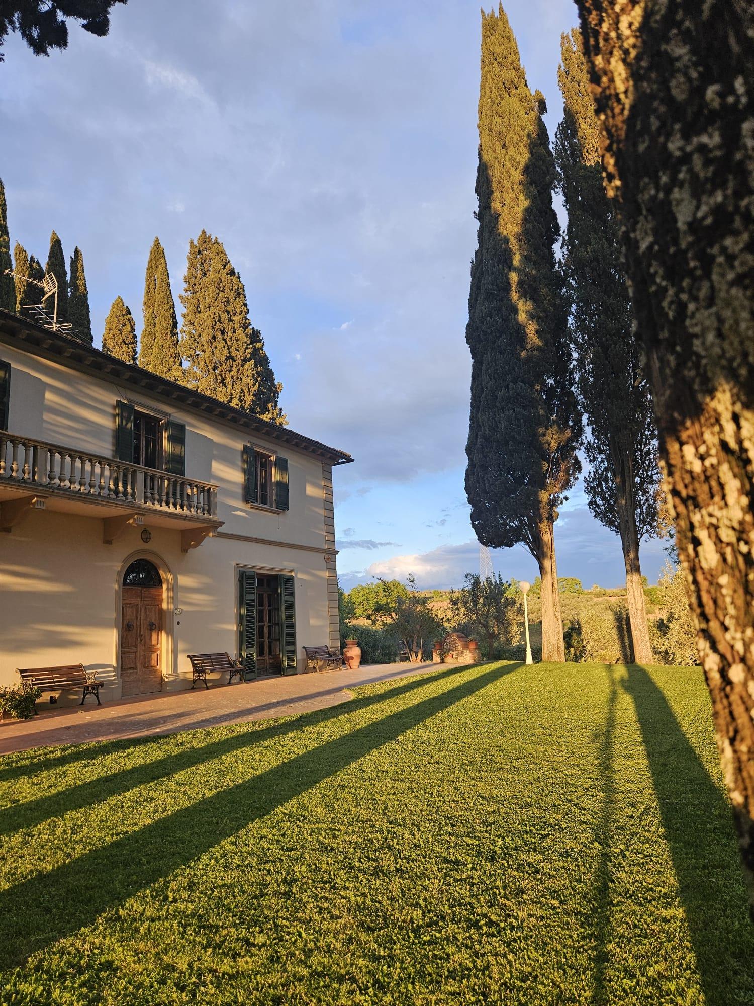 Chianti: Besuch der Ölmühle und Verkostung von nativem Olivenöl extra