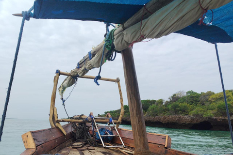 Zanzibar;Blue Safari Snorkeling & Blue Lagoon with BBQ lunch Pickup anywhere (All inclusive)