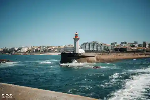 Porto Riverbank Tour on an e-bike: Atlantic Coast, Gardens