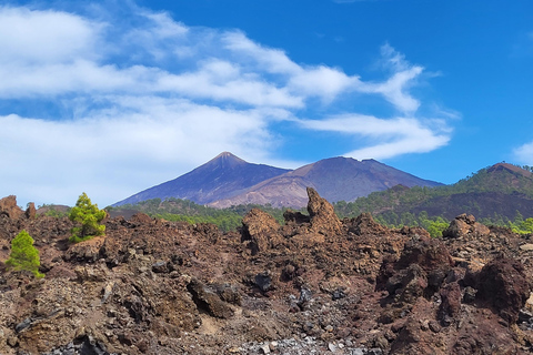 Teide National Park and Vilaflor; local wine tastingParc national du Teide et Vilaflor ; dégustation de vins locaux