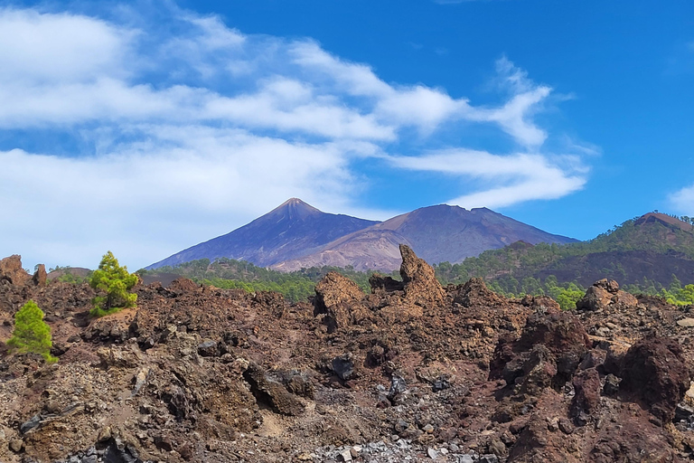 Teide National Park and Vilaflor; local wine tastingPark Narodowy Teide i Vilaflor; degustacja lokalnego wina