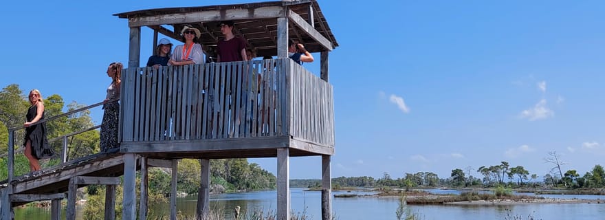 Depuis Durrës : observation des oiseaux et tour de guet de la lagune de Karavasta