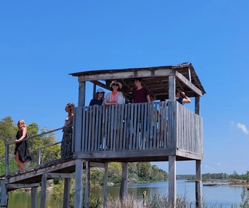 De Durres: Passeio de barco de aventura na Lagoa Karavasta e vida selvagem