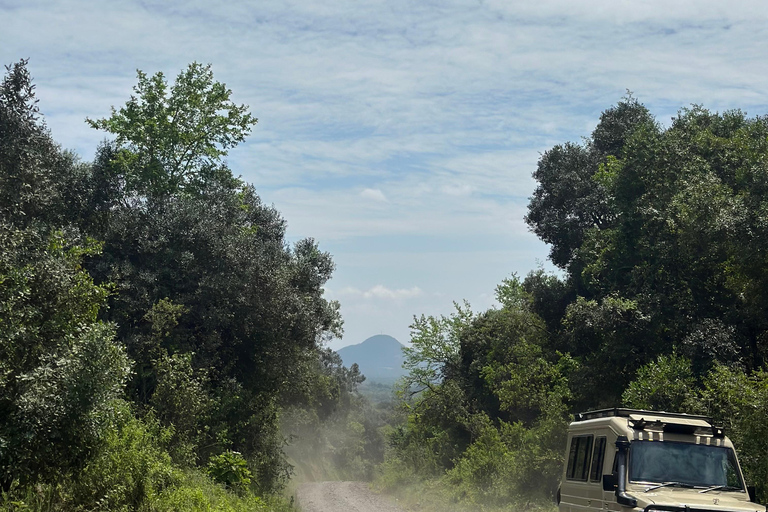 Arusha National Park Privat dagsutflykt ,Gdrive + vandringssafariArusha National Park Privat dagsutflykt (med lunch)