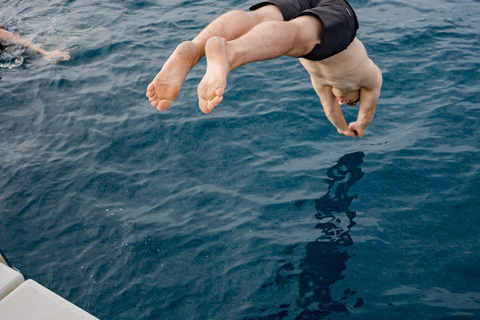 Jachttocht om walvissen en dolfijnen te spotten in Puerto Colon