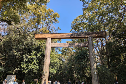 4-Hour Nagoya Private Tour – Licensed Guide & Private Car