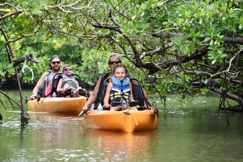 From Naples, FL: Marco Island Mangroves Kayak or Paddle Tour Easy Ride Pedal Kayak Tour