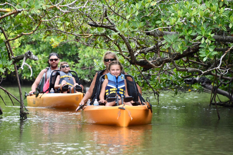 From Naples, FL: Marco Island Mangroves Kayak or Paddle Tour Easy Ride Pedal Kayak Tour