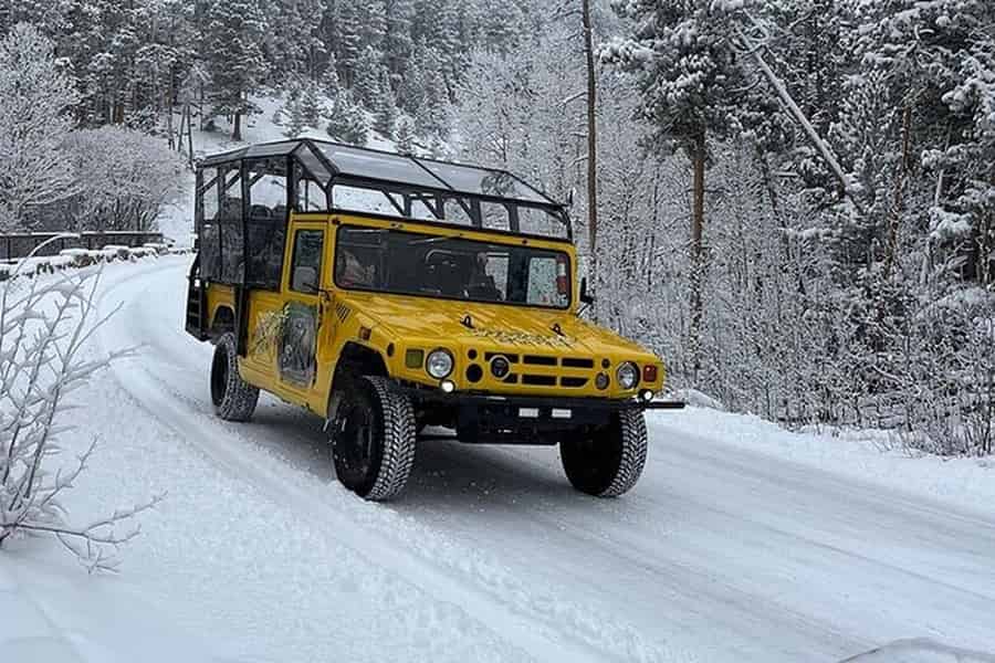 Winterwunderland-Abenteuertour in den Rocky Mountains. Foto: GetYourGuide Winterwunderland-Abenteuertour in den Rocky Mountains. Foto: GetYourGuide