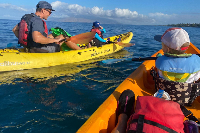 Manuel Antonio: Kayak di mare o SUP - Guida turistica della Costa Rica