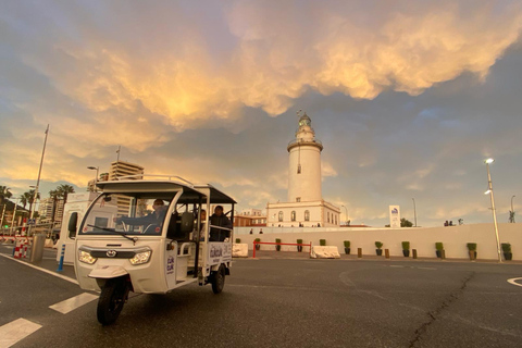 Tour TukTuk Málaga Tour 1:30h