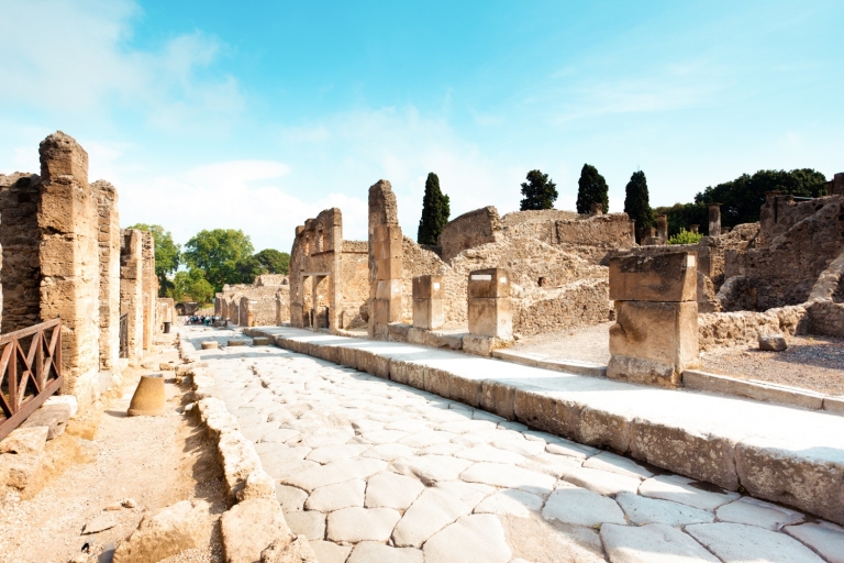 Napels: Pompeii en de Vesuvius met pizza- of wijnproeverijVip-tour in kleine groep in het Frans, met wijnproeverij