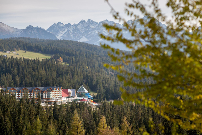 Zakopane Region: Termy Bukovina Thermal Baths Entry Ticket 3-Hour Ticket | Pool Zone