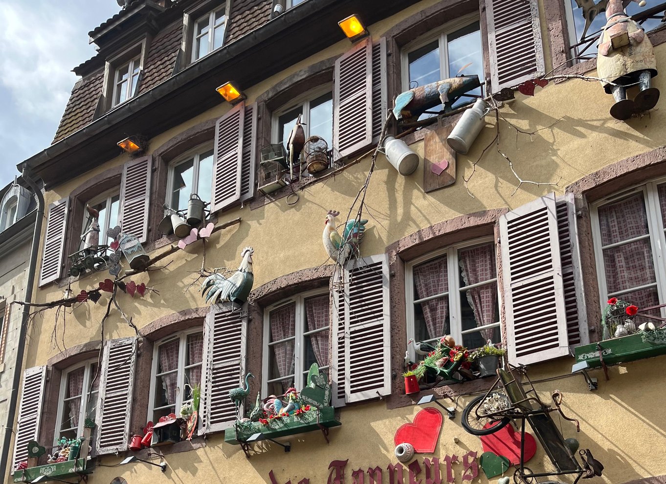 Colmar: Guidet cykeltur
