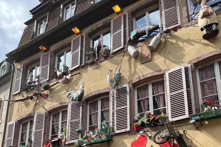 Colmar: Guided Bike Tour