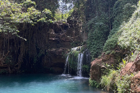 Nairobi: Caminhada pela Floresta Ngare Ndare e Canopy WalkNairobi: Caminhada pela Floresta Ngare Ndare e Passeio pela Copas das Árvores