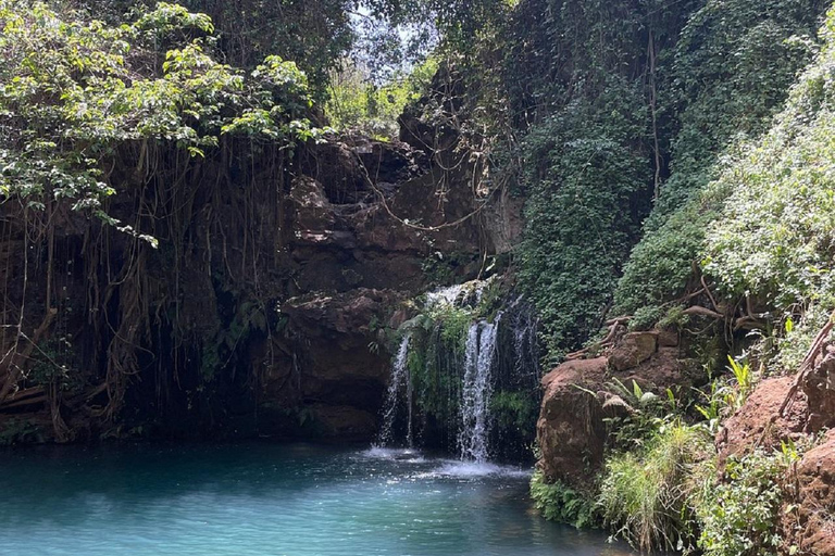Nairobi: Caminhada pela Floresta Ngare Ndare e Canopy WalkNairobi: Caminhada pela Floresta Ngare Ndare e Passeio pela Copas das Árvores