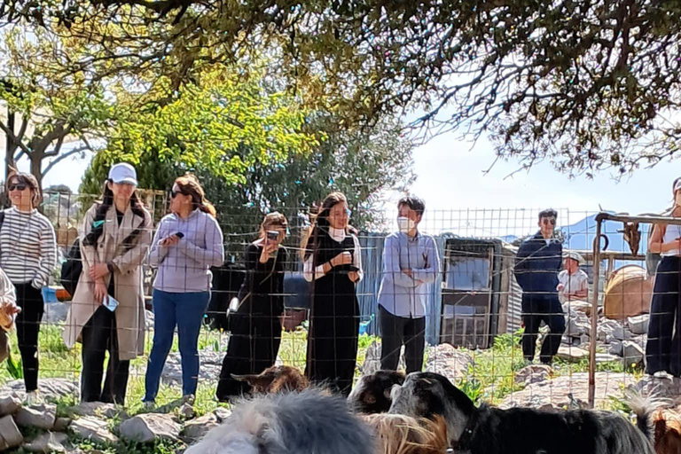 Crete Traditional Villages Private Minivan Experience 2.3 Hours