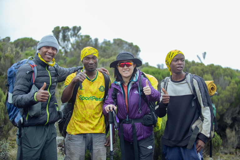 Moshi: Mount Kilimanjaro Day Trip – Marangu Route Day Hike