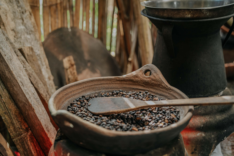 Bali: Private Shore Excursion from Celukan Bawang Port Best Asian Tour Picks – Shared Experiences ( Full Day )