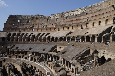 Roma: Colosseo, Foro Romano e Ingresso al PalatinoRoma: Colosseo, Foro Romano e Palatino Biglietto di ingresso prioritario