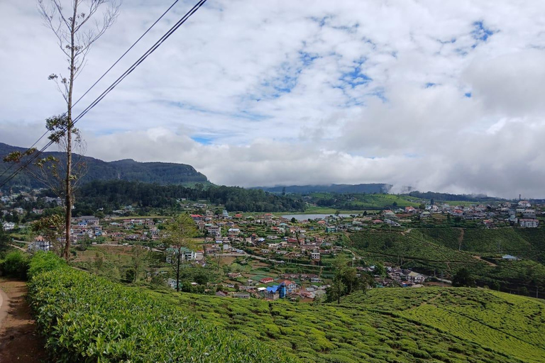 Kandy: Nuwara Eliya and Ambewela Train Station Tour