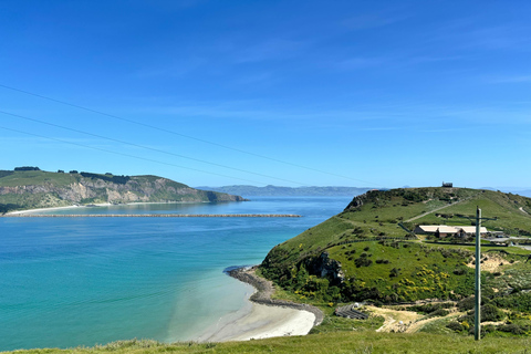 Dunedin City & Otago Peninsula Scenery Day Tour Private Tour