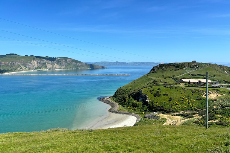Dunedin City & Otago Peninsula Scenery Day Tour Private Tour